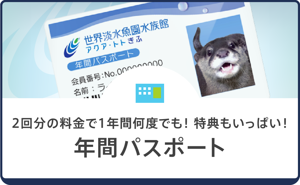 年間パスポート