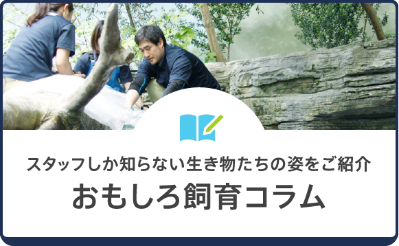 おもしろ飼育コラム