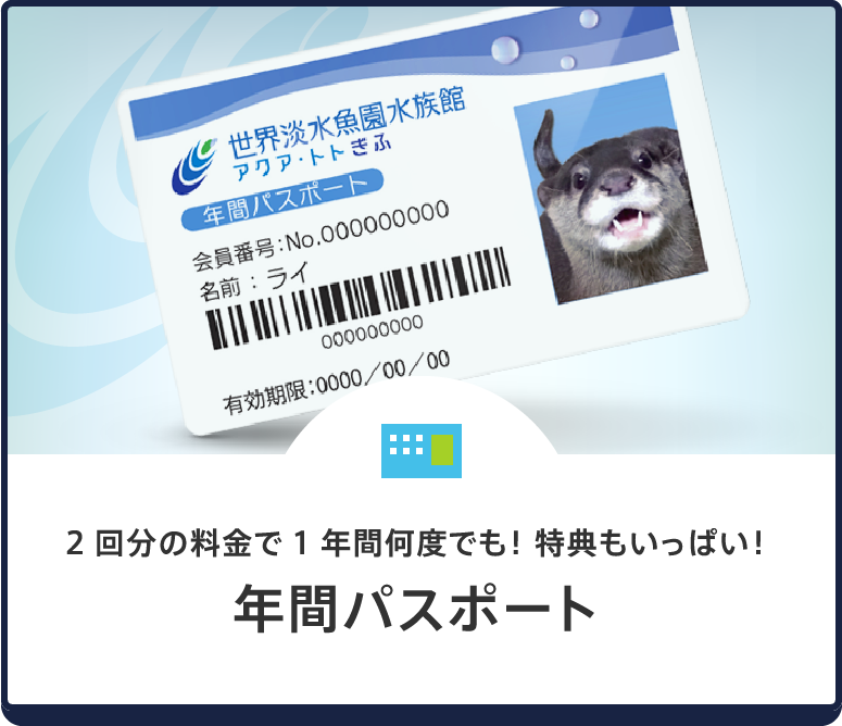 年間パスポート