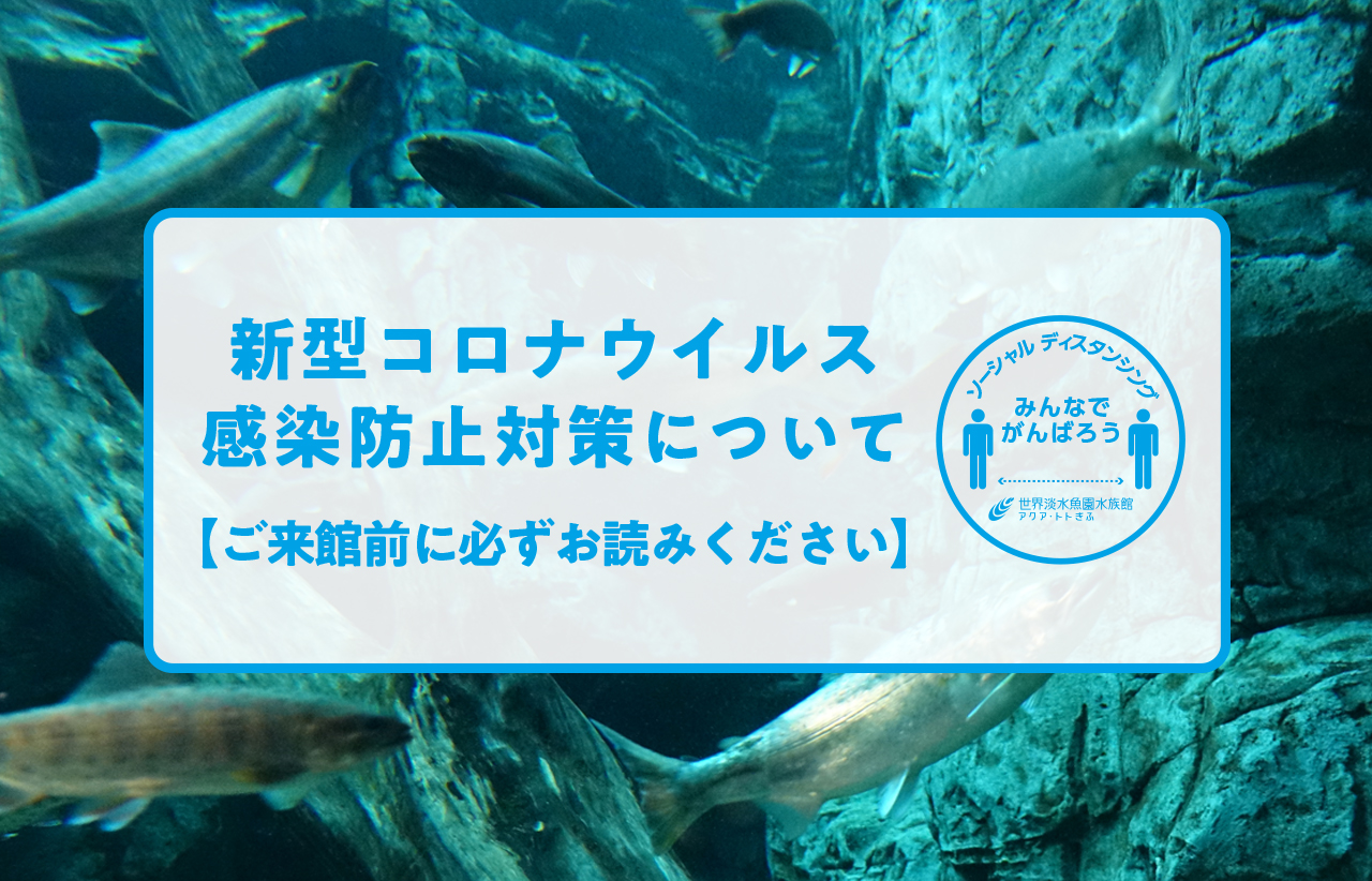 世界淡水魚園水族館 アクア トト ぎふ 岐阜県各務原市の水族館