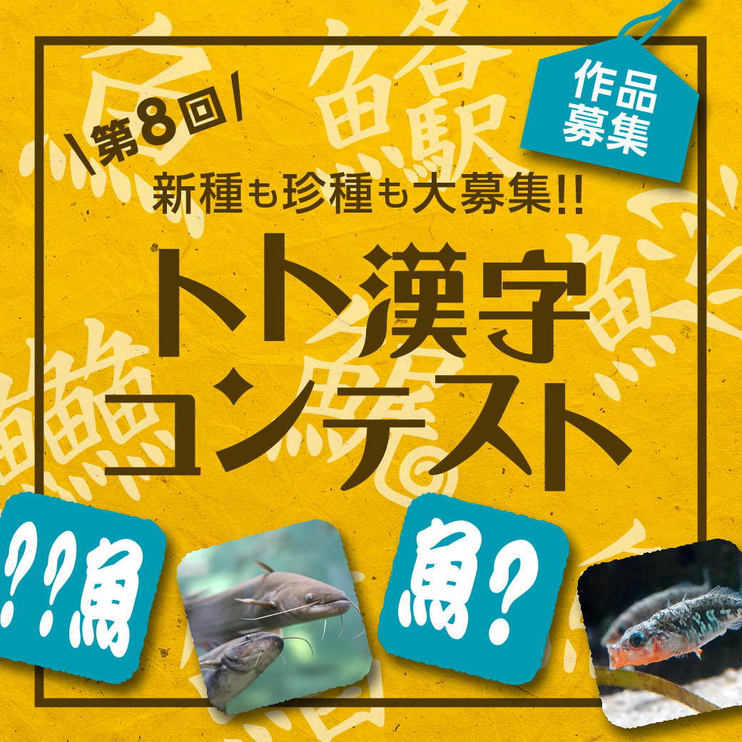 Pictngamukjpegvh 魚 漢字 一覧 表 魚 へん の 漢字 一覧 表