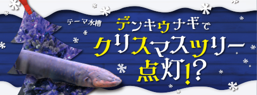 世界淡水魚園水族館 アクア トト ぎふ 岐阜県各務原市の水族館