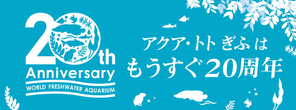 世界淡水魚園水族館 アクア・トト ぎふ - 岐阜県各務原市の水族館