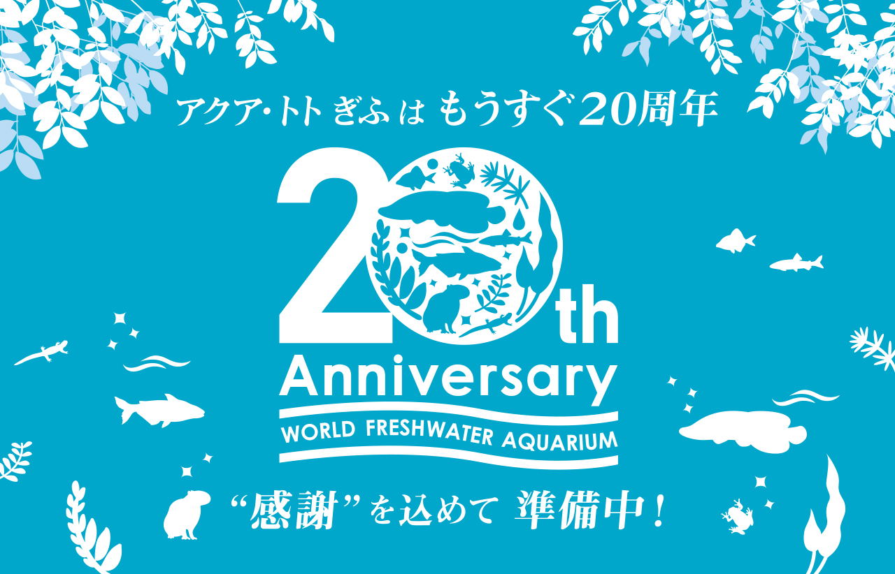 日本水族館立体生物図録1 全14種 世界淡水魚園水族館アクア•トトぎふ-