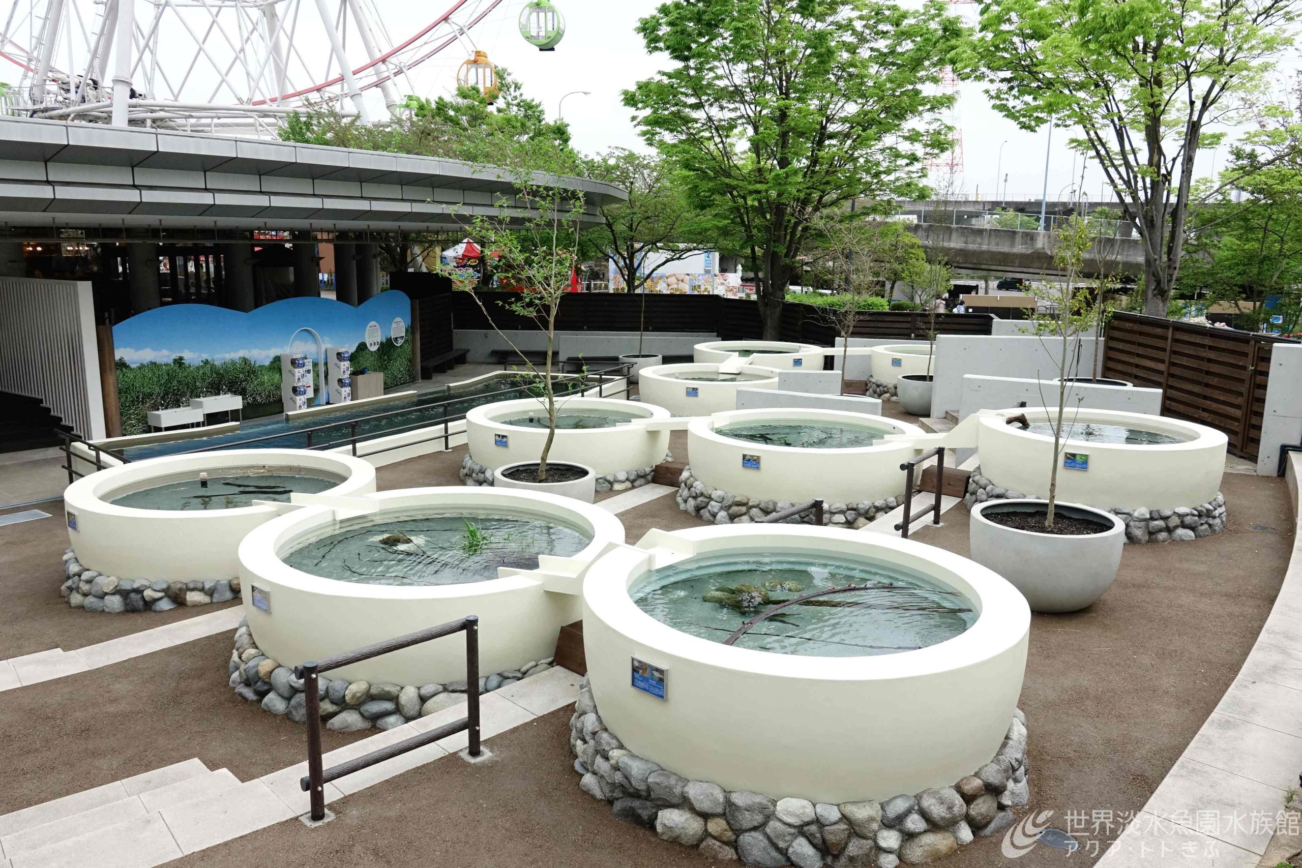 木曽三川　長良川・木曽川・揖斐川の豊かな水辺　Kiso Three Rivers Oasis　がオープン！