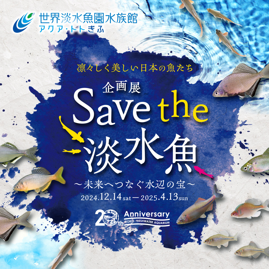 企画展『Save the 淡水魚 ～未来へつなぐ水辺の宝～』