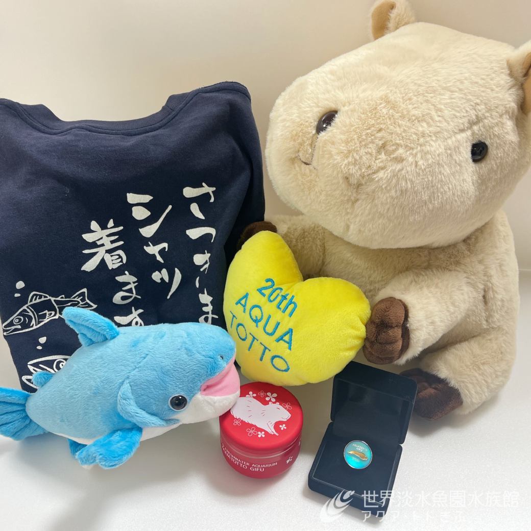 「年パスナンバーラッキー抽選会」当選番号を発表します
