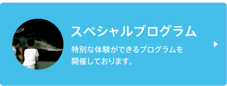 スペシャルプログラム
