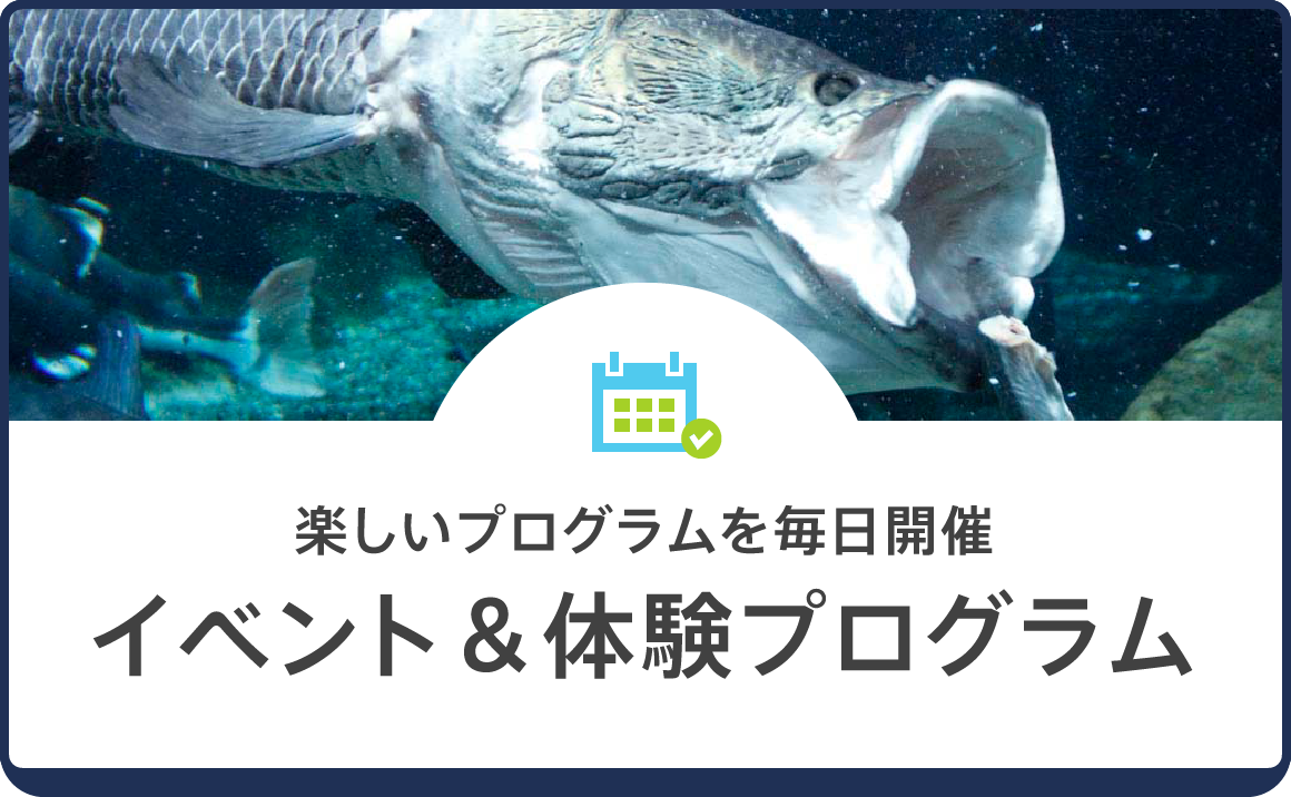 世界淡水魚園水族館 アクア・トト ぎふ - 岐阜県各務原市の水族館