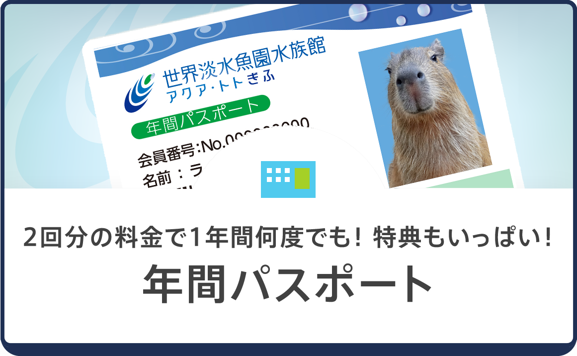 年間パスポート