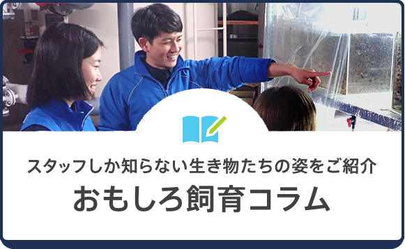 おもしろ飼育コラム