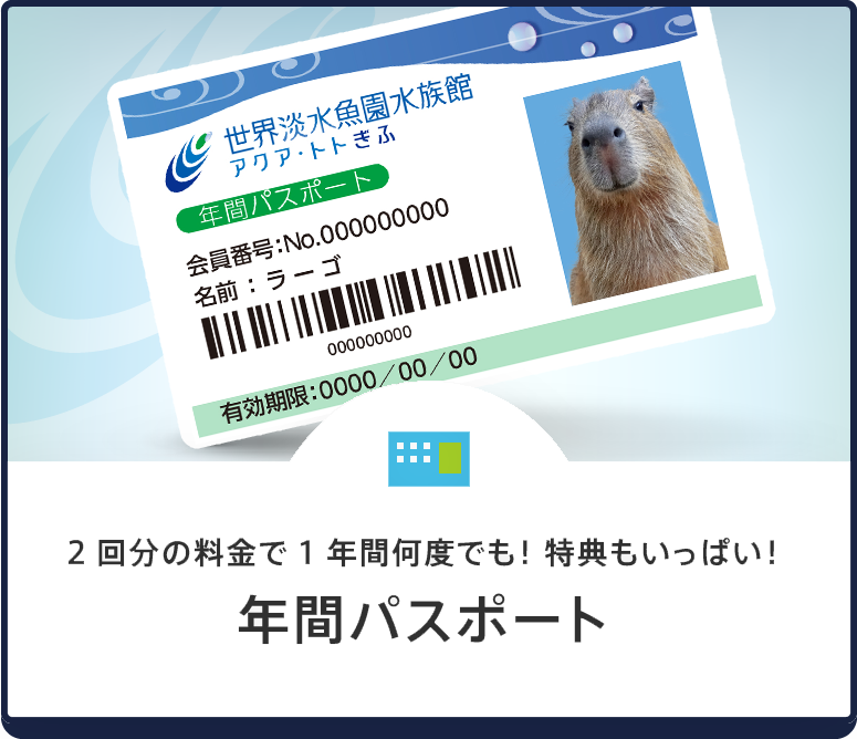 年間パスポート