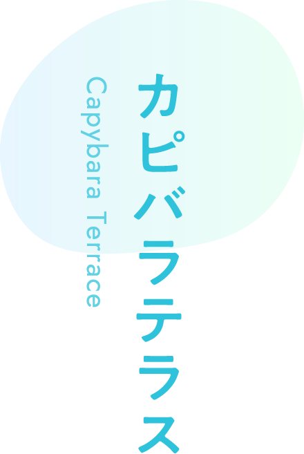 カピバラテラス