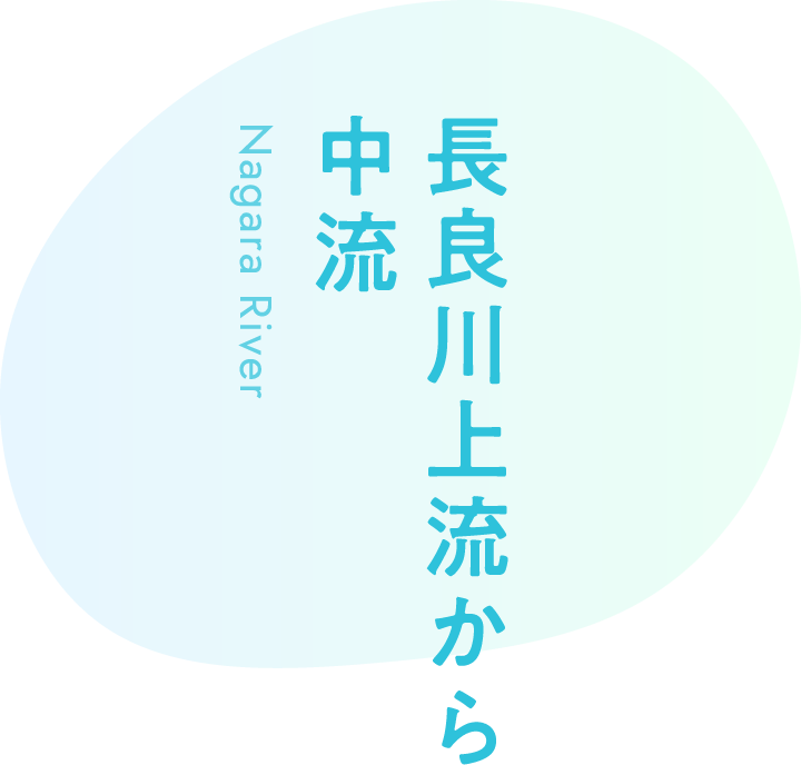 長良川上流から中流