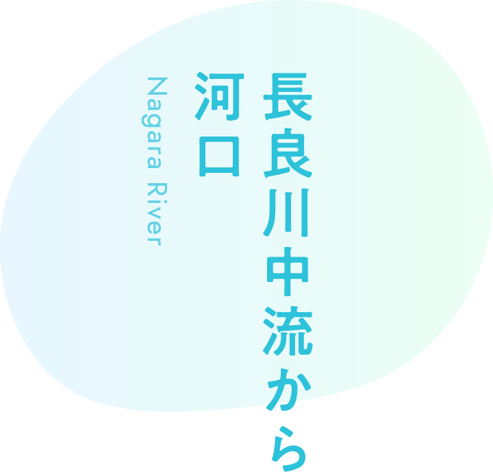 長良川中流から河口