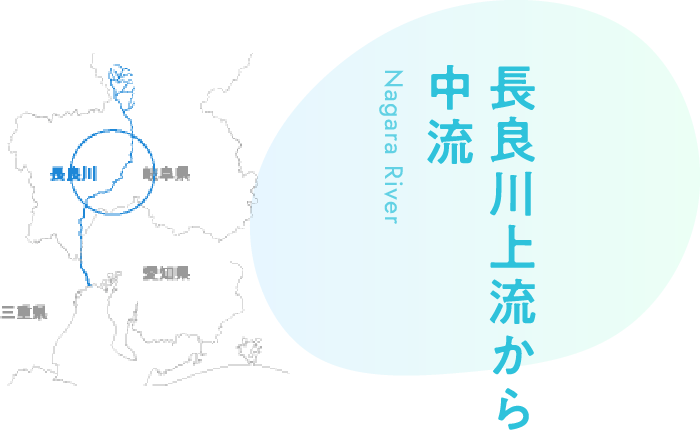 長良川上流から中流