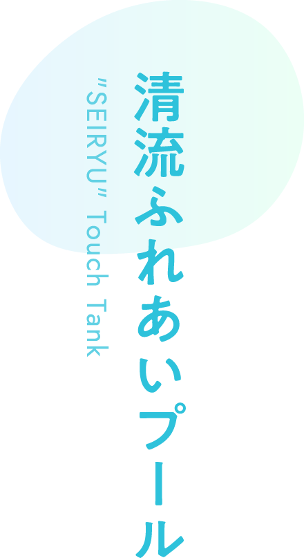 清流ふれあいプール
