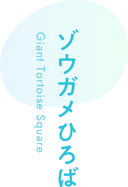 ゾウガメひろば