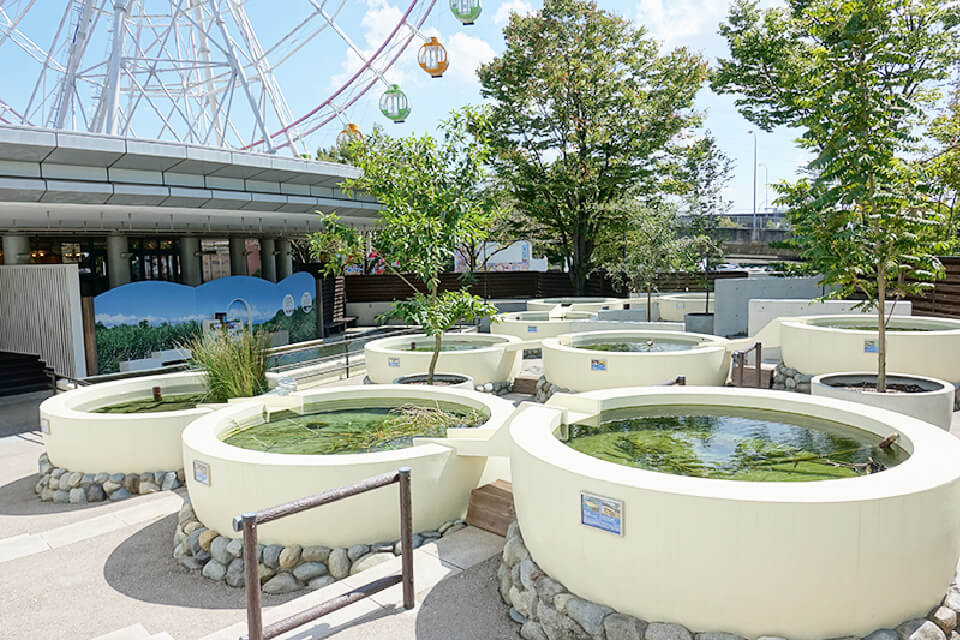 木曽三川の生き物たちをみえる水槽