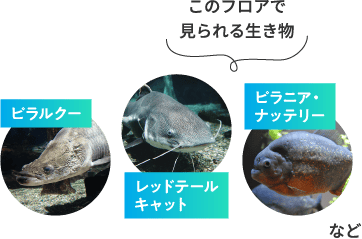 1Fのイメージ