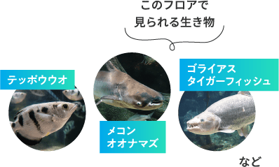 2Fのイメージ