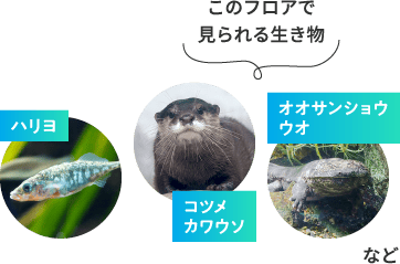 3Fのイメージ