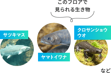 4Fのイメージ