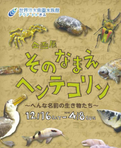 企画展「そのなまえヘンテコリン」開催中！