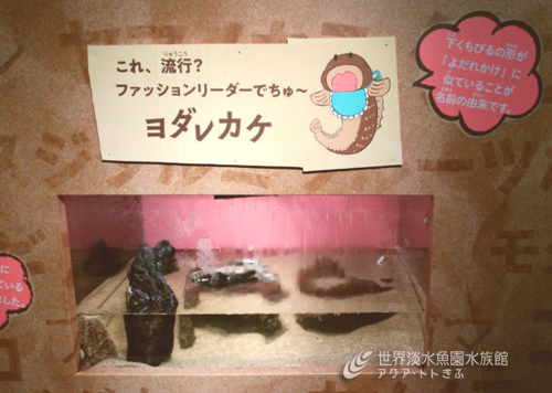 企画展からお便り9　～ヨダレカケ～