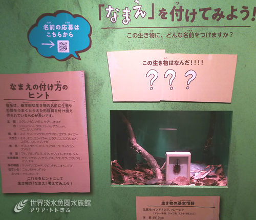 企画展からお便り　～番外編～