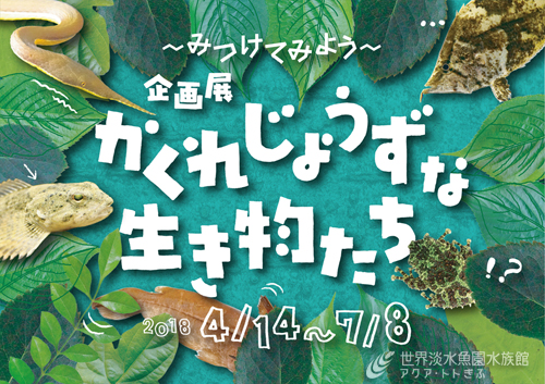 企画展「みつけてみよう　かくれじょうずな生き物たち」　　　