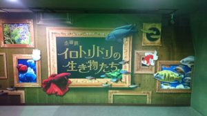 タイムラプス