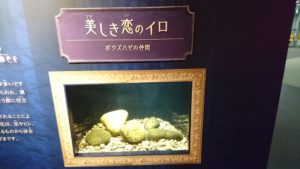 運動会
