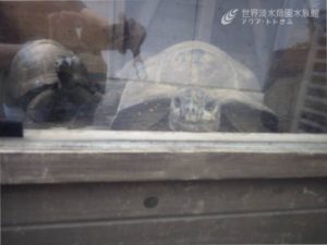 気温が上がってきましたので…