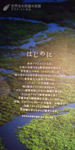 パンタナールに行った人の情報①