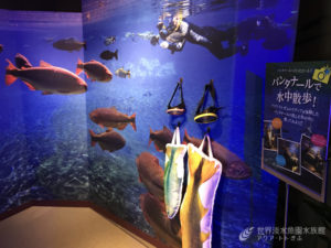 企画展便り～おすすめフォトスポット～