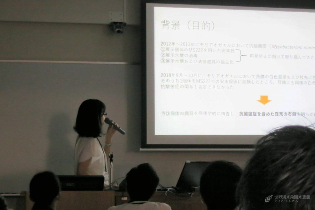 日本野生動物医学会に参加してきました！