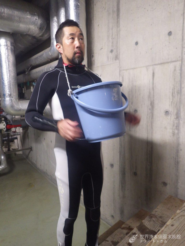 恐る恐る