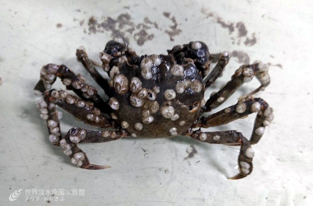 秋の河口へ