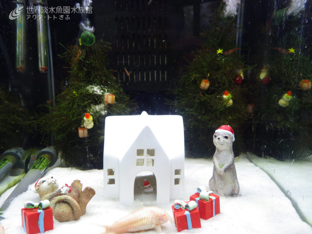 季節はクリスマス