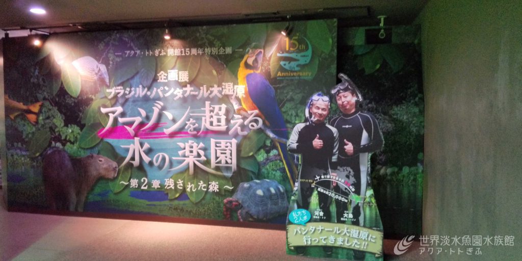 企画展　第2章はじまるよ～