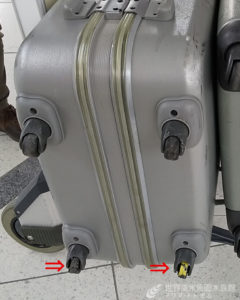 帰国からもう８カ月