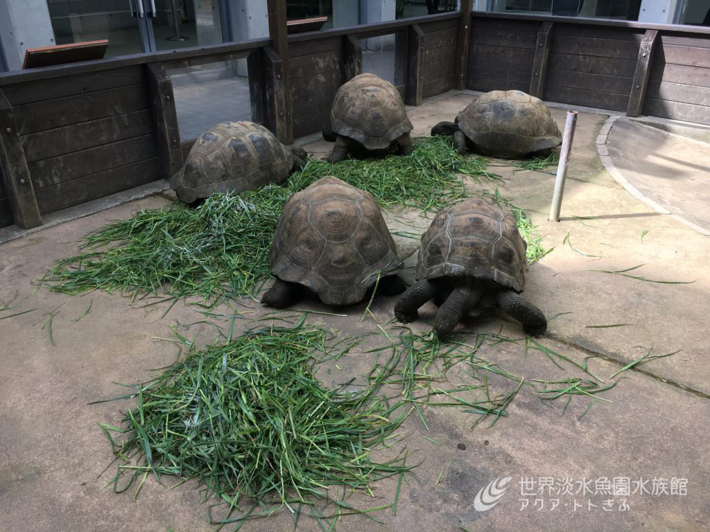 食欲の春