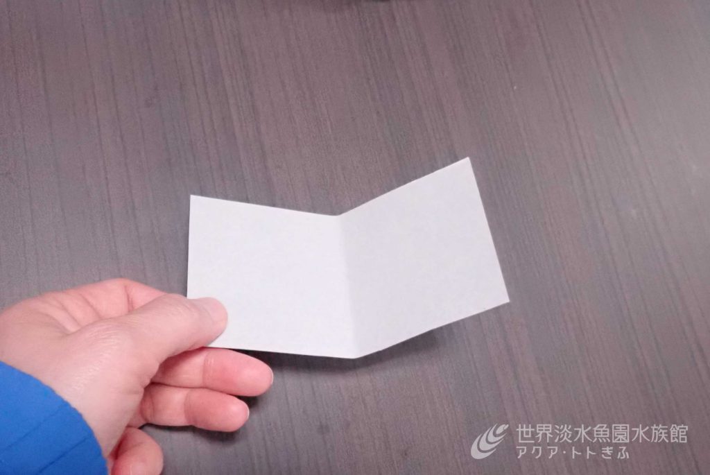 お家でものづくりワークショップ②「ぴょんぴょんガエル」