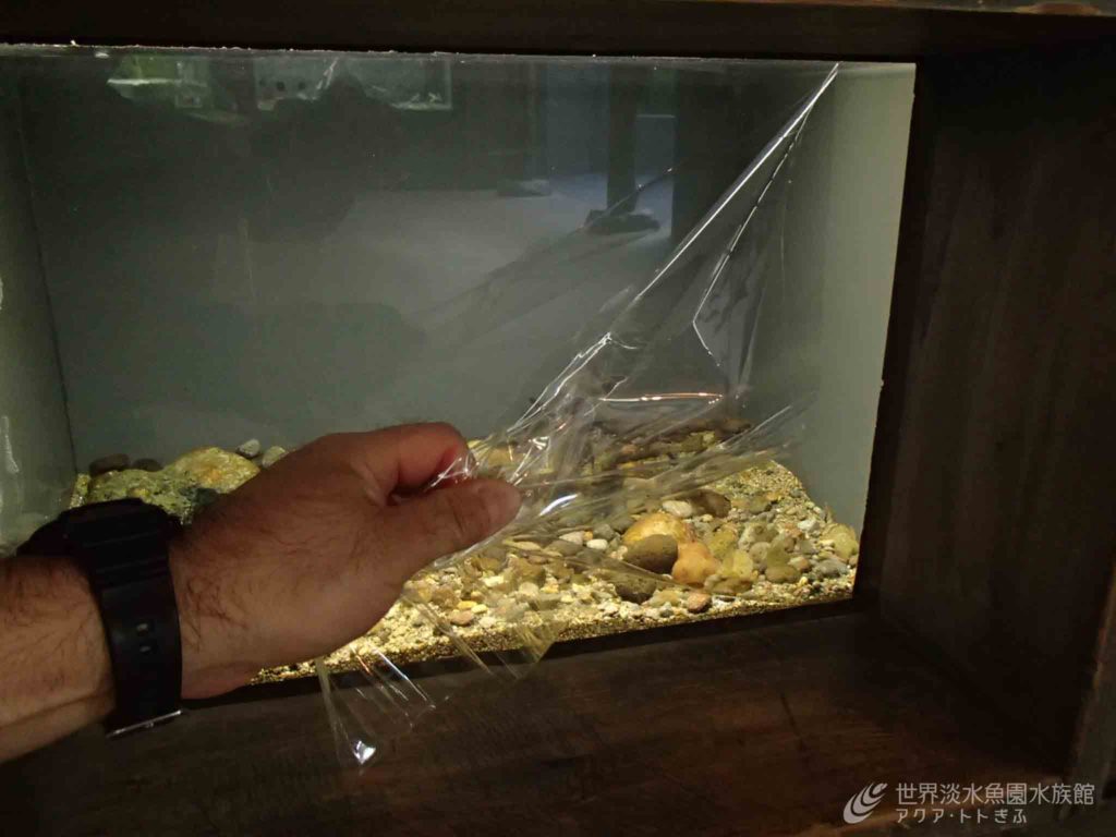 水族館での困りごと・・・結露