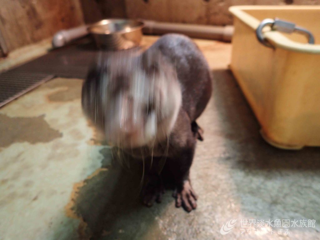 秘蔵写真