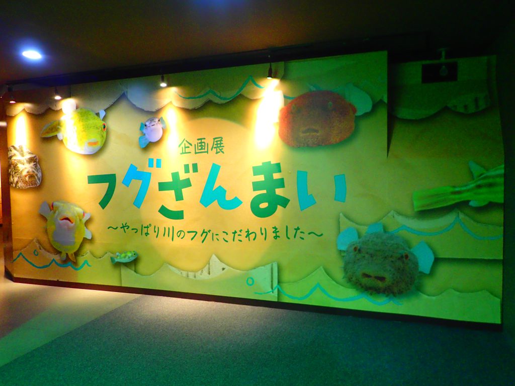 フグざんまい始まりました！
