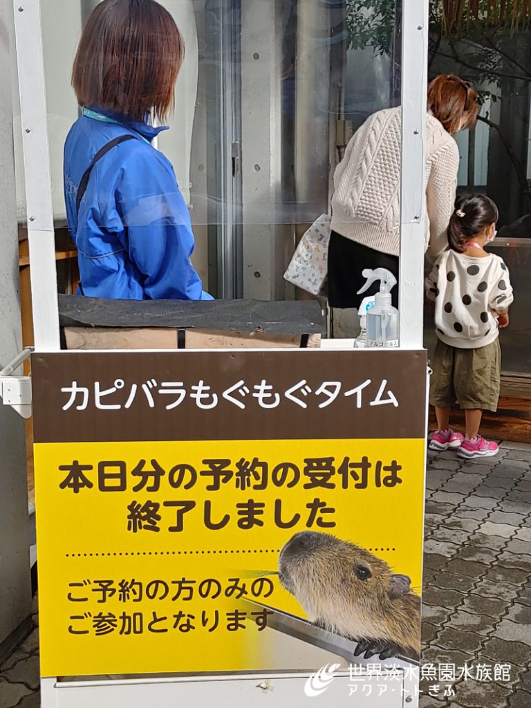 カピバラもぐもぐタイム