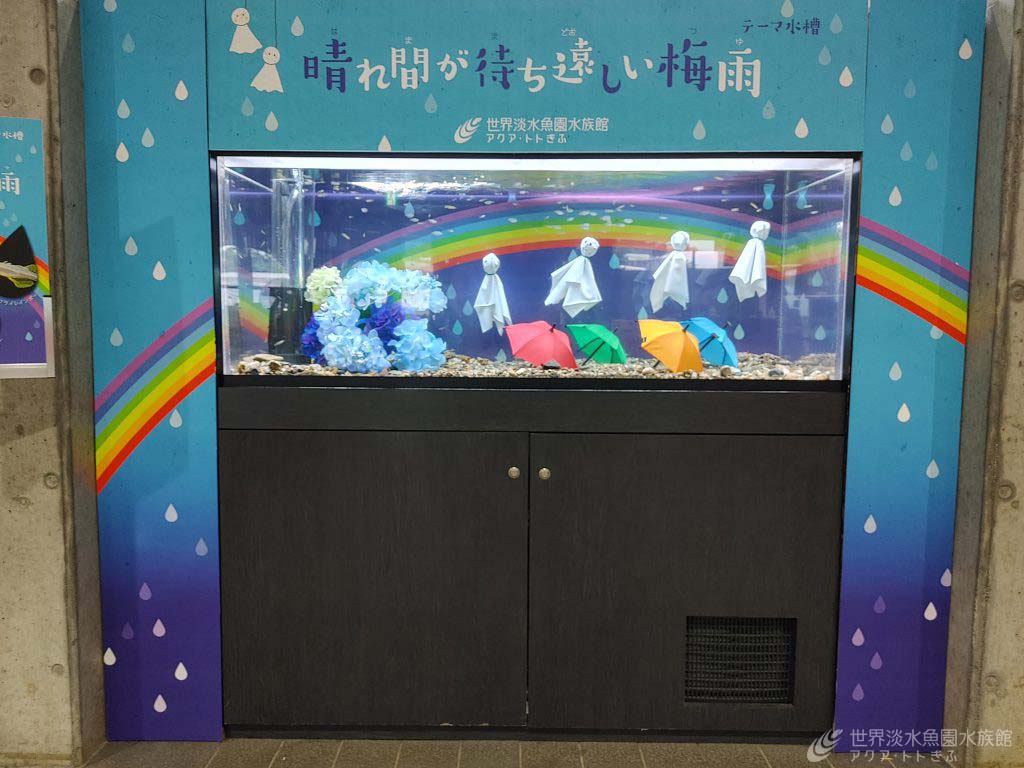 梅雨入り間近