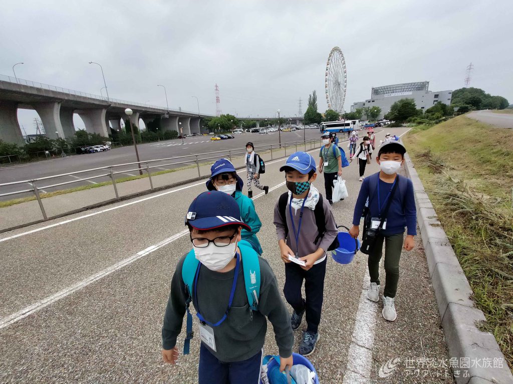 アクアマイスターになろう！６月の活動